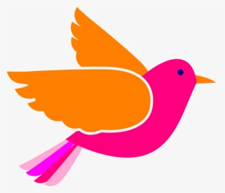 Colorful Birds Png Free Pic - Bird Flying Clipart Png, Transparent Png, Transparent PNG
