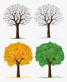 Plants In Different Seasons, HD Png Download, Transparent PNG