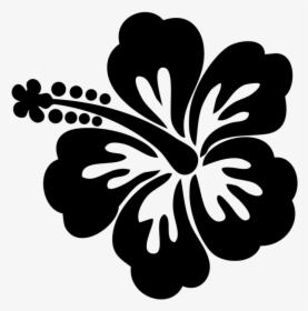 Hawaiian Flower Drawing, HD Png Download, Transparent PNG