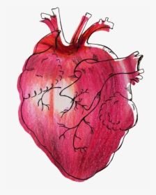 Myheart - Illustration, HD Png Download, Transparent PNG