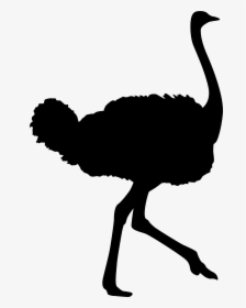 Vector Graphics Animal Silhouettes Clip Art Illustration - Ostrich Decal, HD Png Download, Transparent PNG