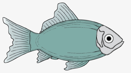 Generic Fish - Fish Clip Art, HD Png Download, Transparent PNG