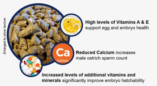 Nutritional Benefits Of Breeder Ostrich Feed   Class - Superfood, HD Png Download, Transparent PNG