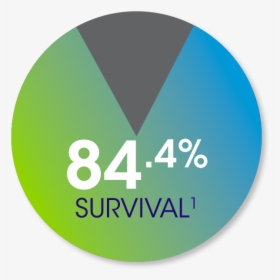 84 - 4% Survival¹ - Circle, HD Png Download, Transparent PNG