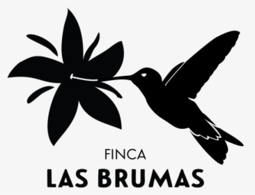 Las Brumas Black Only Logo Final, HD Png Download, Transparent PNG