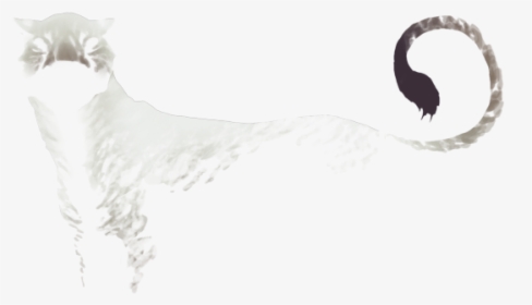 Sketch, HD Png Download, Transparent PNG