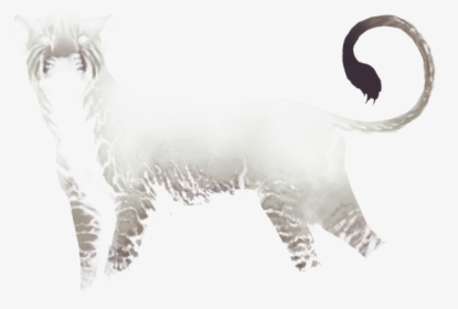 Dall's Sheep, HD Png Download, Transparent PNG