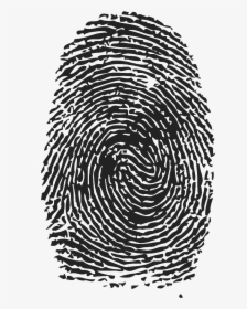 Fingerprint Clipart, HD Png Download, Transparent PNG