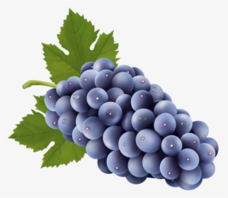 Imagem De Frutas - Grapes Clipart Png, Transparent Png, Transparent PNG