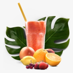 Frutas - Clementine, HD Png Download, Transparent PNG