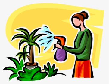 Vector Illustration Of Watering Houseplant Plants With - Regando Plantas Png, Transparent Png, Transparent PNG