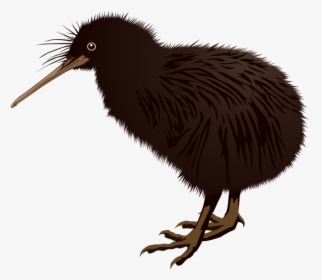 Pin Bird Clipart Kiwi - Kiwi Bird Clipart Png, Transparent Png, Transparent PNG