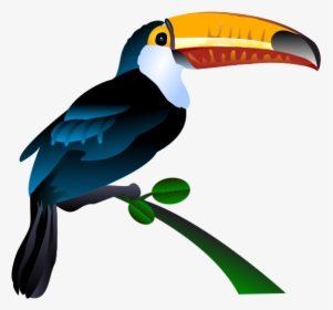 Free To Use Amp Public Domain Toucan Clip Art - Keel Billed Toucan Clipart, HD Png Download, Transparent PNG