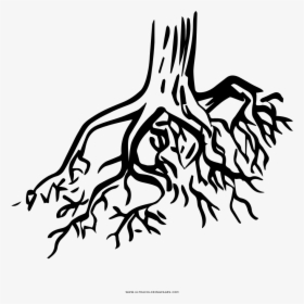 Tree Roots Coloring Page, HD Png Download, Transparent PNG