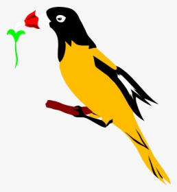 Oriole Clipart At Getdrawings - Vogel Clipart, HD Png Download, Transparent PNG