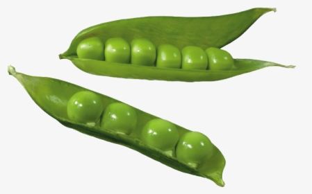 Split Pea Silique Common - Arveja Png, Transparent Png, Transparent PNG