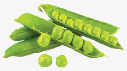 Green Peas Images Hd, HD Png Download, Transparent PNG