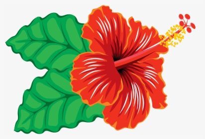 Hawaiian Hibiscus , Png Download - Hawaiian Hibiscus, Transparent Png, Transparent PNG