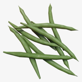 Miscreated Wiki - Green Bean, HD Png Download, Transparent PNG