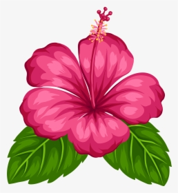 Hawaiian Png, Transparent Png, Transparent PNG
