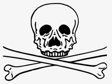 Skull Clipart Cross - Skeleton Head White Clipart, HD Png Download, Transparent PNG