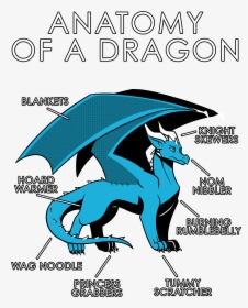 Anatomy Of A Dragon Shirt, HD Png Download, Transparent PNG