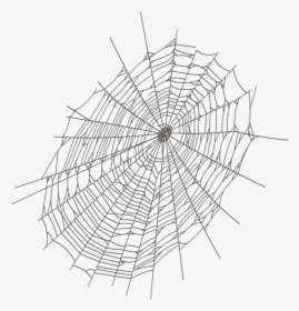 Halloween Large Spider Web Png Clipart Spider Web- - Transparent Background Spiderweb Png, Png Download, Transparent PNG