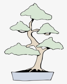 Bonsai, HD Png Download, Transparent PNG