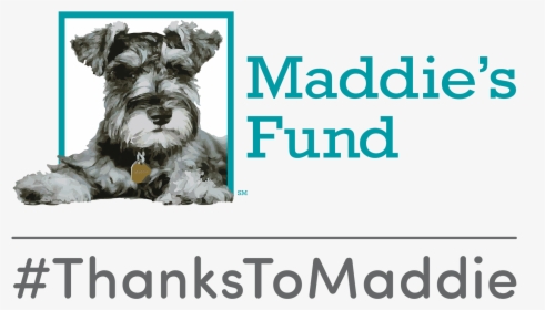 Maddie's Fund Thanks To Maddie, HD Png Download, Transparent PNG