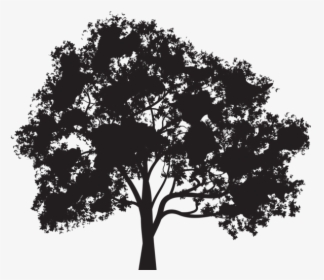Transparent Oak Tree Silhouette Png, Png Download, Transparent PNG
