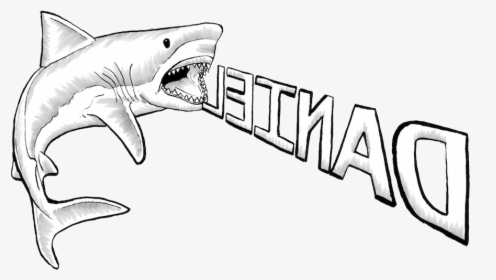 Great White Shark Drawing - Great White Shark Shark Drawing, HD Png Download, Transparent PNG