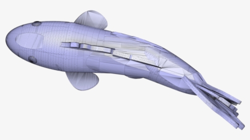 Koi - Humpback Whale, HD Png Download, Transparent PNG