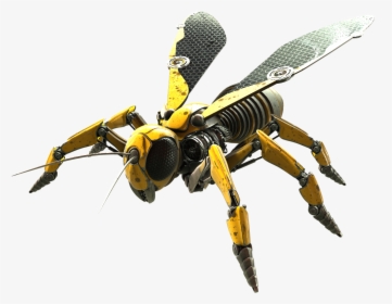 Wasp Png Photo - Wasp .png, Transparent Png, Transparent PNG