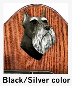 Schnauzer Miniature Dog Black And Silver Color Head - Cesky Terrier, HD Png Download, Transparent PNG