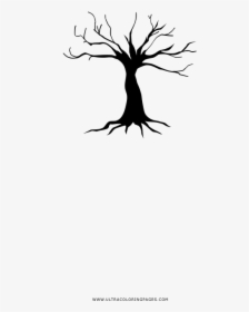 Old Tree Coloring Page - Silhouette, HD Png Download, Transparent PNG