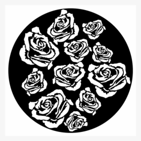 Roses, HD Png Download, Transparent PNG