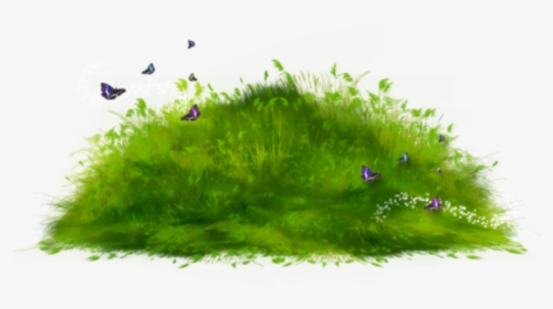grass #hill #nature #garden @laetitiadez - Nature Animation Gif Png,  Transparent Png , Transparent Png Image - PNGitem