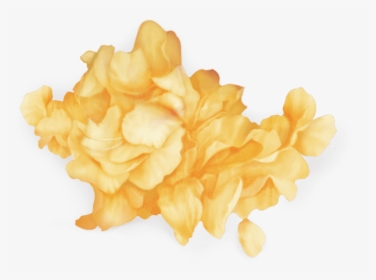 Flowers, Png, And Yellow Image - Wild Troye Sivan Png, Transparent Png, Transparent PNG
