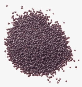 Frijoles Negros, HD Png Download, Transparent PNG