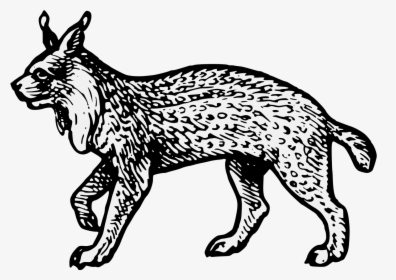 Lynx Heraldry, HD Png Download, Transparent PNG