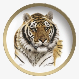 Siberian Tiger Head - Guy Coheleach Siberian Tiger Head, HD Png Download, Transparent PNG