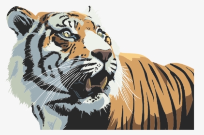 Tiger Head Illustration - Tiger, HD Png Download, Transparent PNG