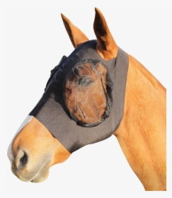 Masque Anti Mouche Cheval, HD Png Download, Transparent PNG