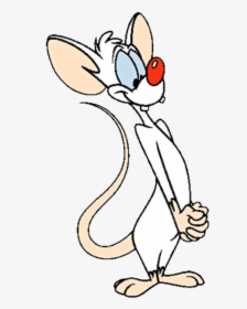 Pinky Looking Sweet - Pinky And The Brain Pinky Png, Transparent Png, Transparent PNG