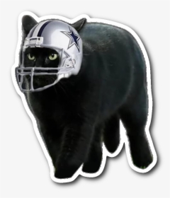 Dallas Cowboys Black Cat, HD Png Download, Transparent PNG