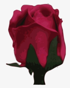 Plant,flower,garden Roses - Rose, HD Png Download, Transparent PNG
