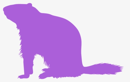 Groundhog Silhouette, HD Png Download, Transparent PNG