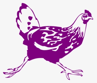 Draw A Hen Running, HD Png Download, Transparent PNG