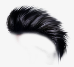 Hairpng - Hd Hair Style Png, Transparent Png, Transparent PNG