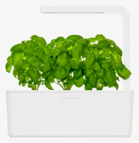 Transparent Outdoor Potted Plants Png - Click And Grow Smart Garden 3, Png Download, Transparent PNG